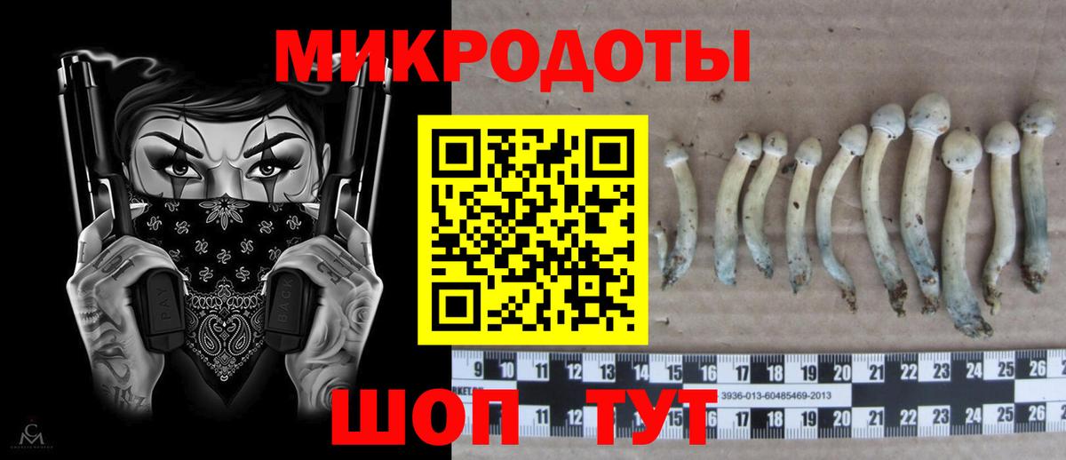 Галлюциногенные грибы GOLDEN TEACHER  Вход с VPN  Новый Уренгой 